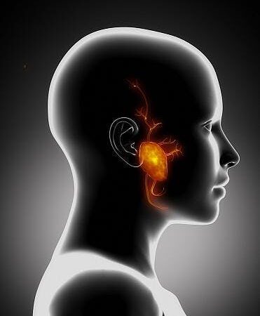 Preservation of facial nerve during parotidectomy