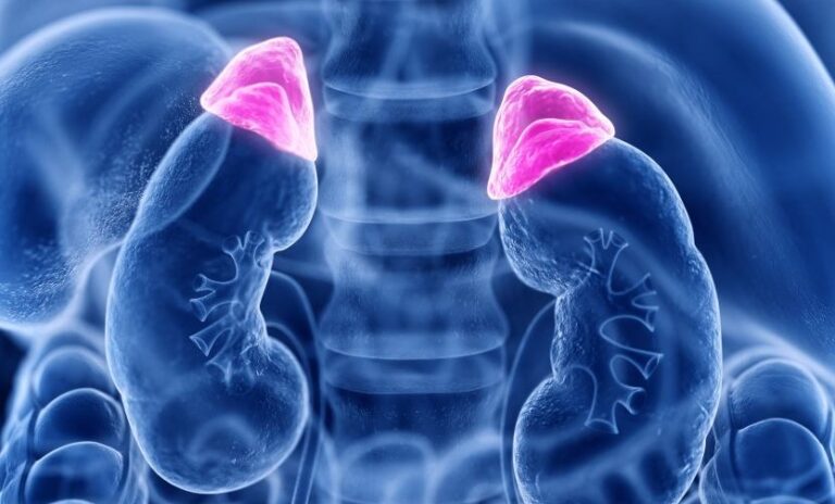 Read more about the article Treatment of benign adrenal tumors