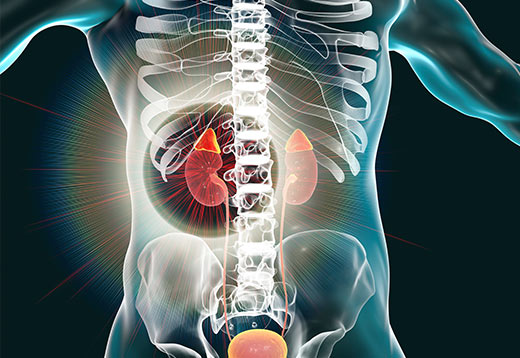 Read more about the article Adrenal Hemorrhage and Adrenal Hematoma