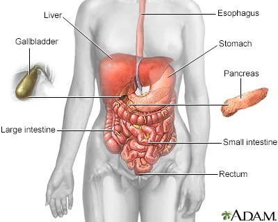 Read more about the article Esophageal cancer